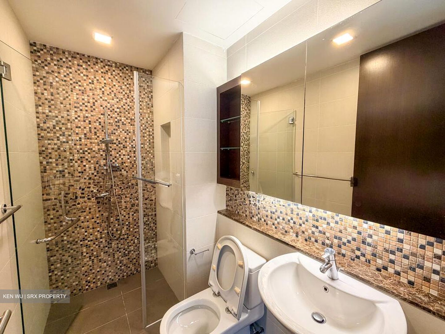 Radiance @ Bukit Timah (D21), Terrace #496898981